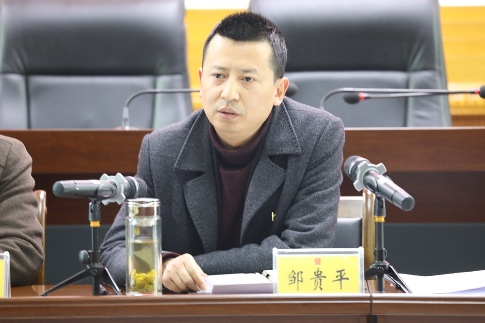 苍溪县2018年度支部组织生活会和民主评议党员现场观摩