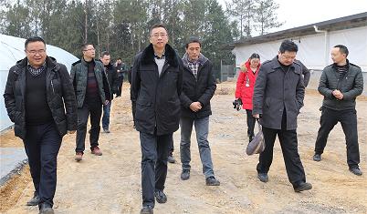 舒强院长带队到文昌镇开展节前慰问
